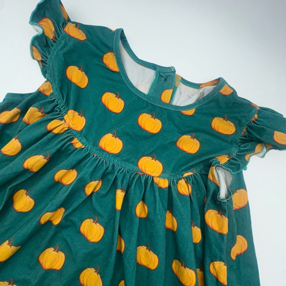 Southern Style Girls Pumpkin Fall Dress Size 10